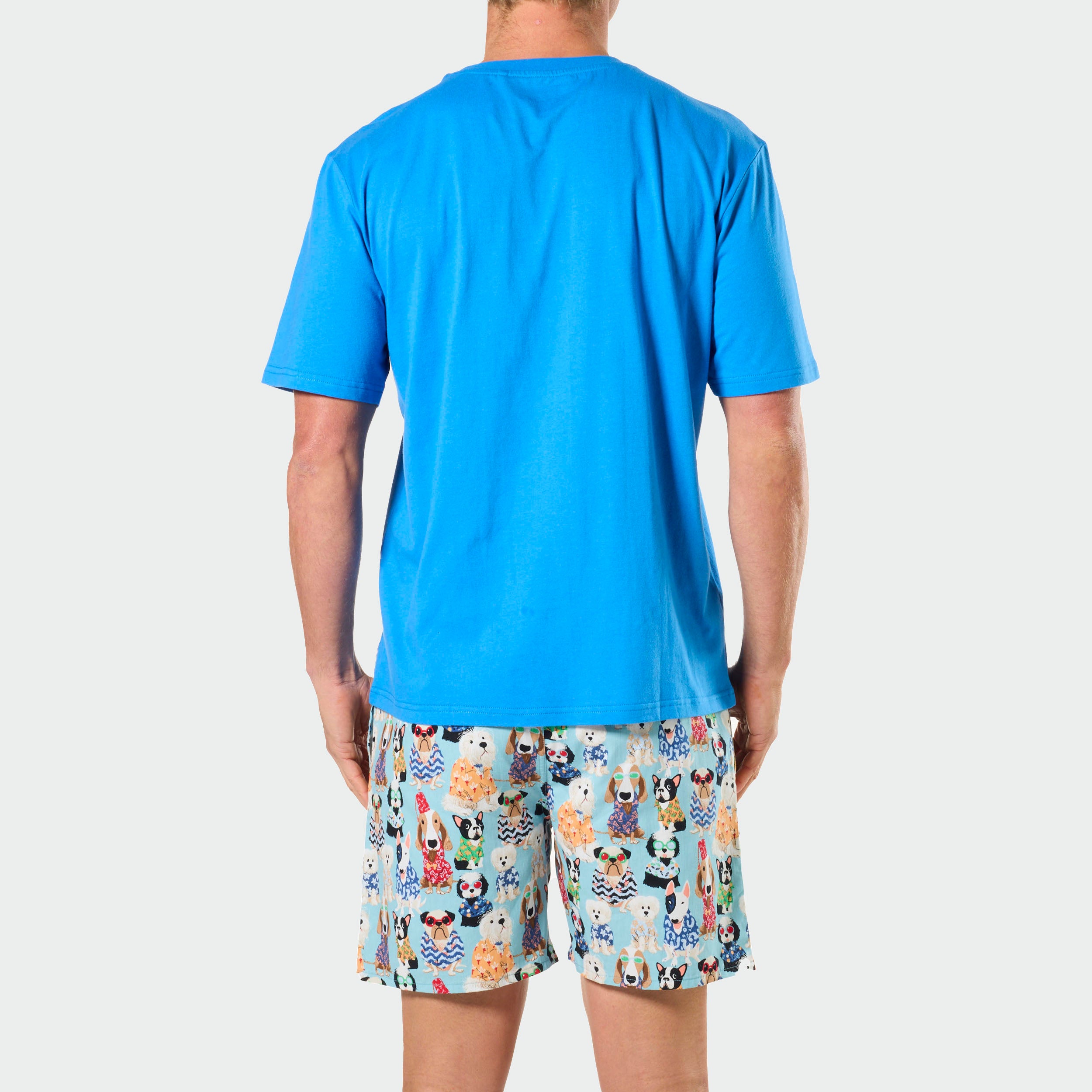 Men's Pyjama Set Best Dad Fur Real Dog Print T-Shirt and Woven Shorts