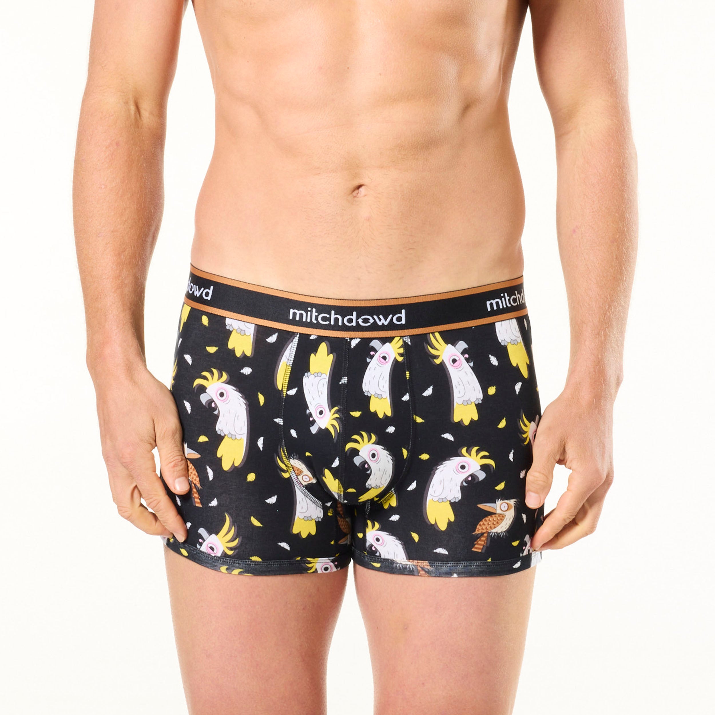 Mitch Dowd Men’s 3 Pack Trunks in Stripe, Grey and Cockatoo Print