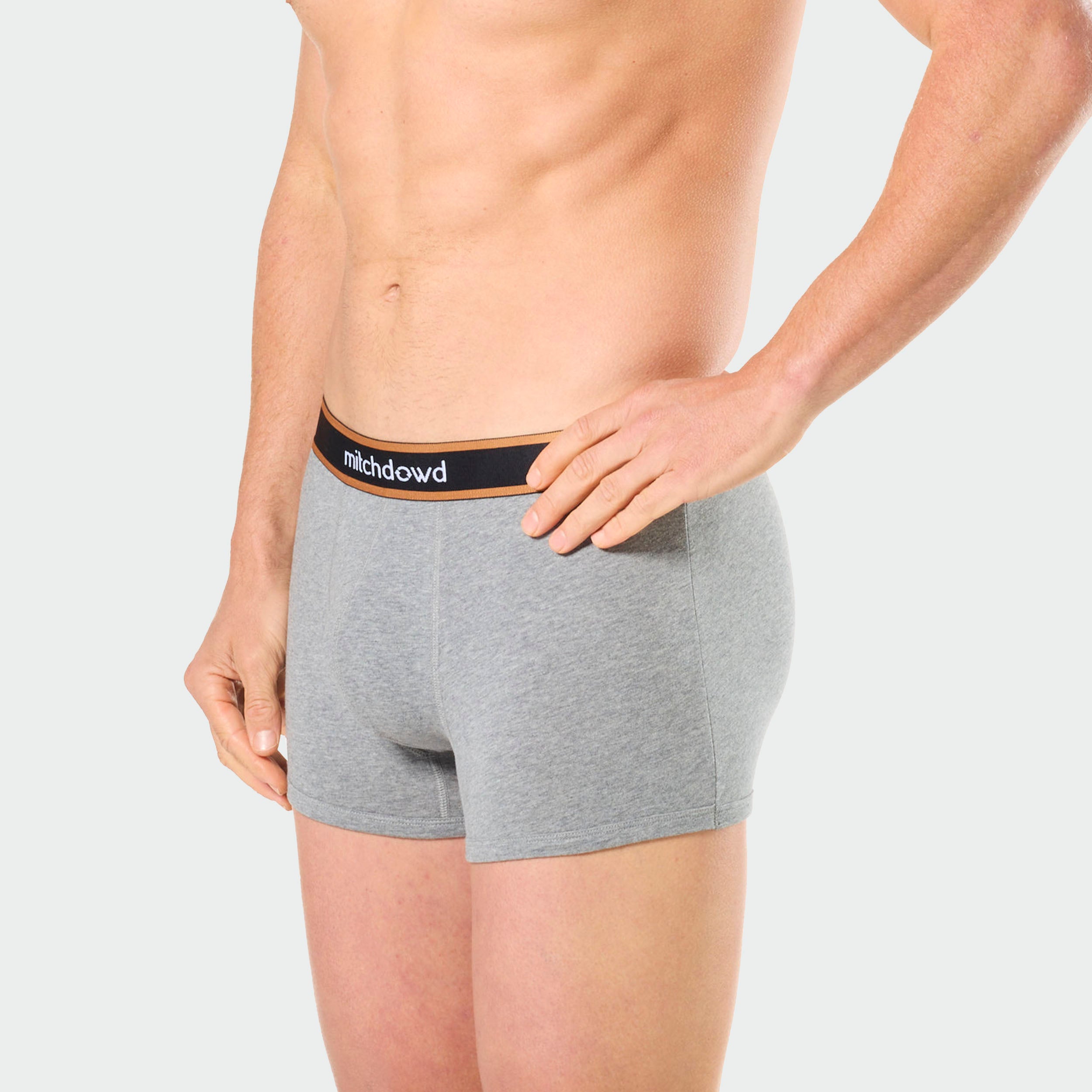 Mitch Dowd Men’s 3 Pack Trunks in Stripe, Grey and Cockatoo Print